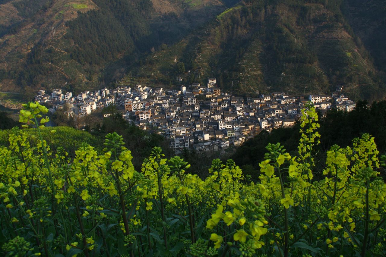 方村(安徽省黃山市歙縣武陽鄉方村)