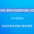 中共中央國務院關於促進民營經濟發展壯大的意見(關於促進民營經濟發展壯大的意見)