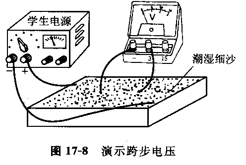 跨步電壓的演示圖