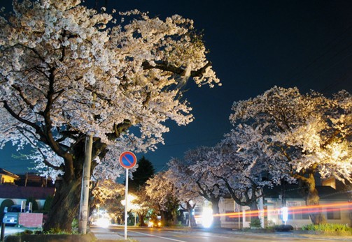 宇都宮大學