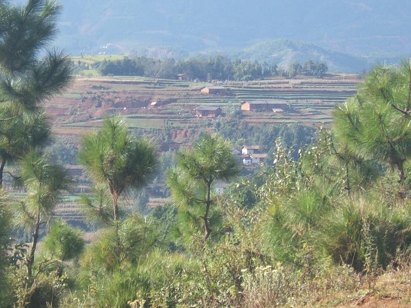 大松棵村(雲南會澤縣火紅鄉下轄村)