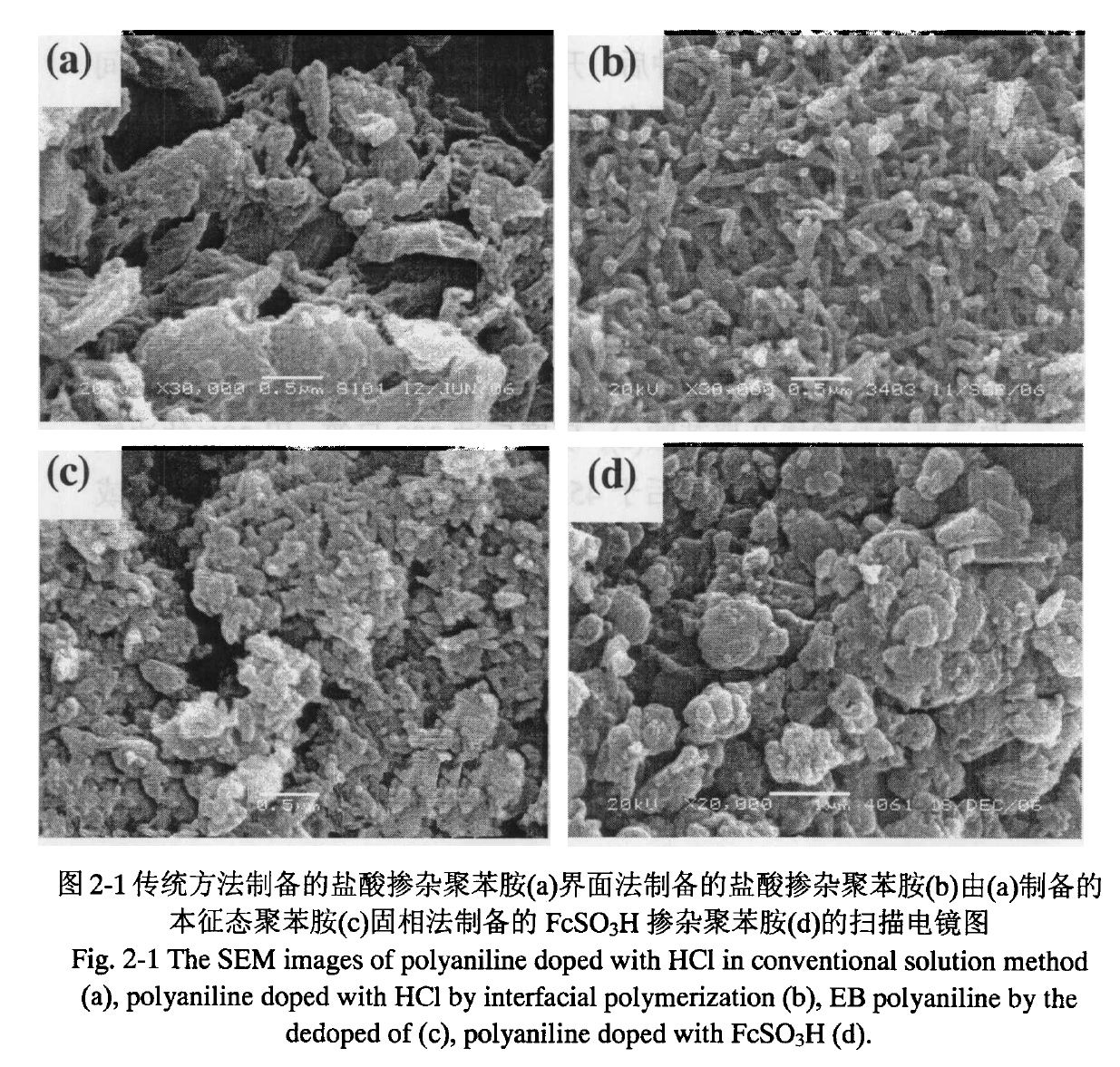 聚苯胺四種方法製備後的電鏡圖