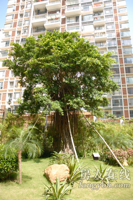 卓越淺水灣花園