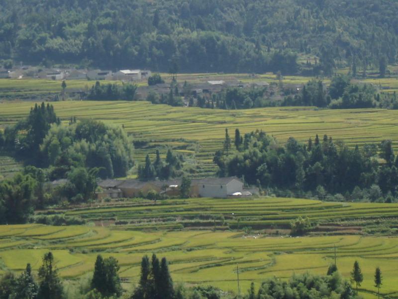 龍家營自然村(雲南保山騰衝縣北海鄉新樂村委龍家營自然村)