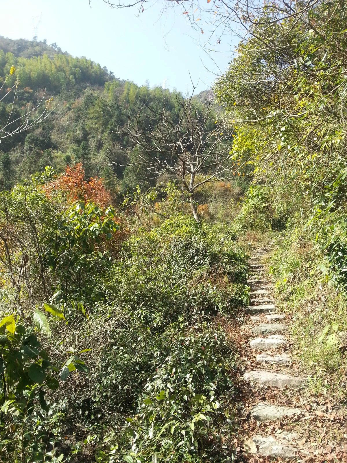 仙洪古道