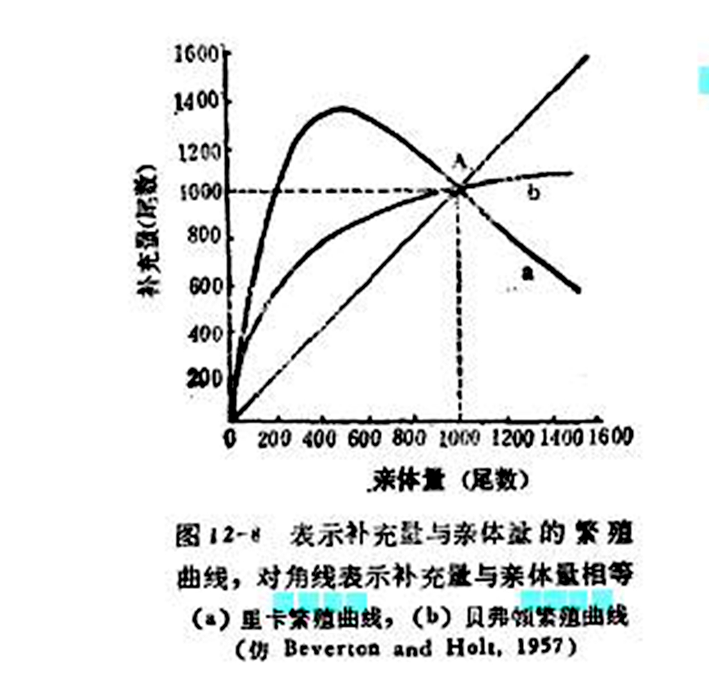 繁殖曲線