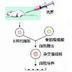 補體結合反應