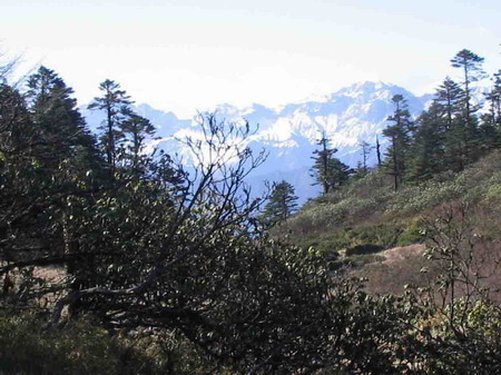 萬靈山(廣昌縣赤水鎮古源村萬靈山)