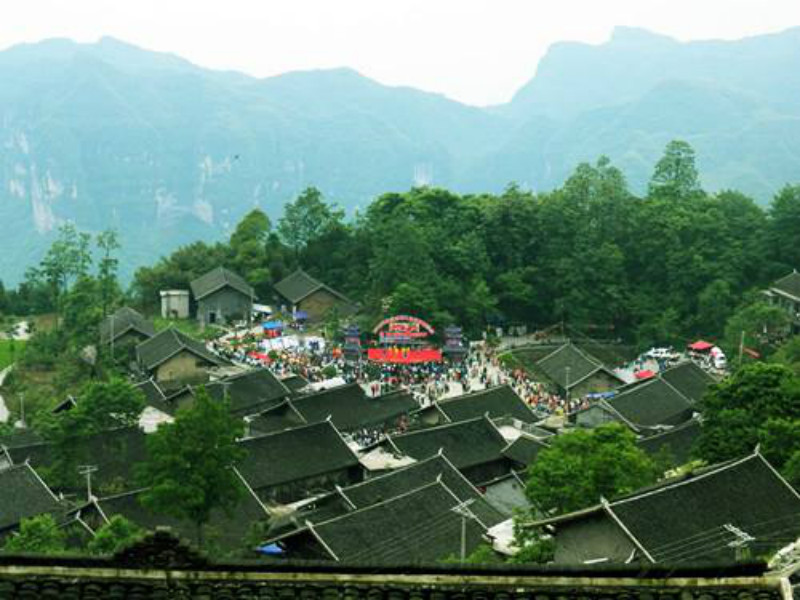 金龍村(陝西武功縣蘇坊鎮金龍村)