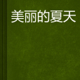 美麗的夏天(網路小說)