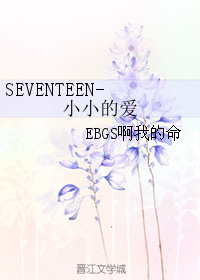 SEVENTEEN-小小的愛