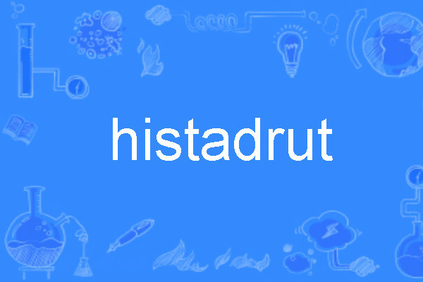 histadrut