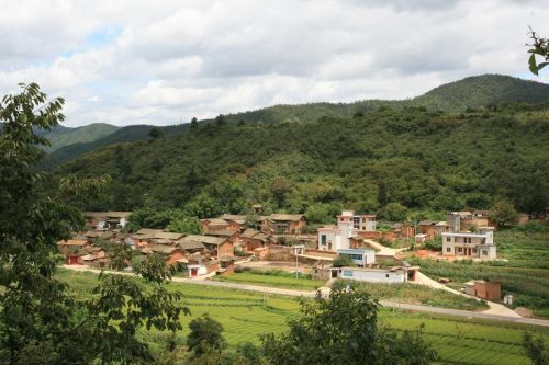 顧家莊村(河北清河縣葛仙莊鎮顧家莊村)