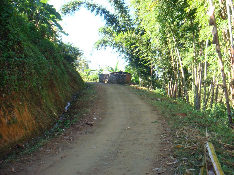 鄉茶廠村