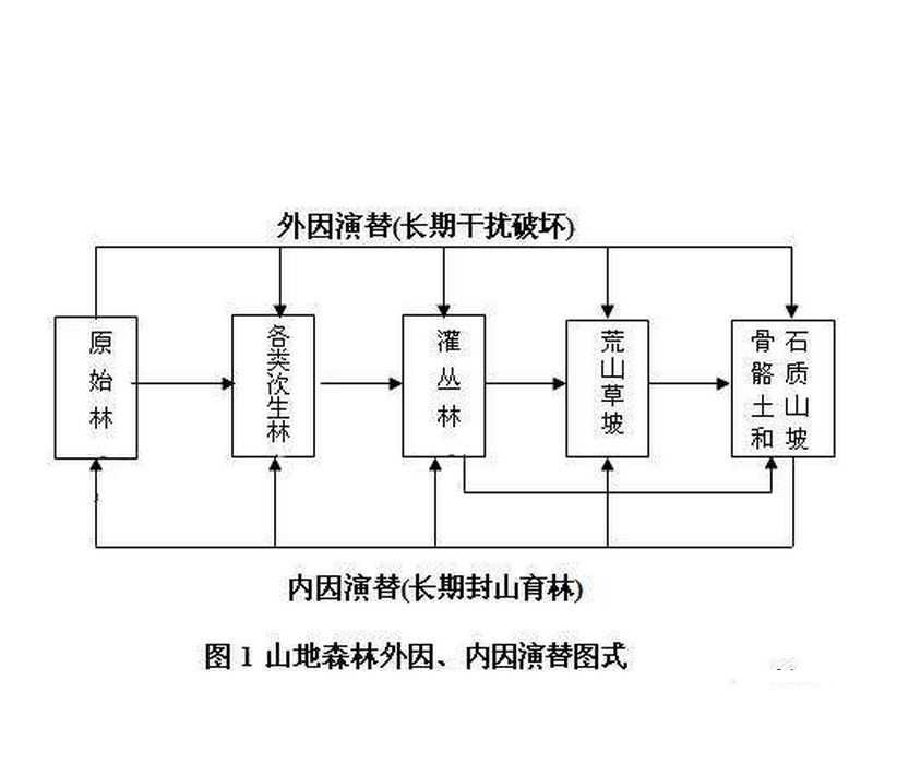 異發演替