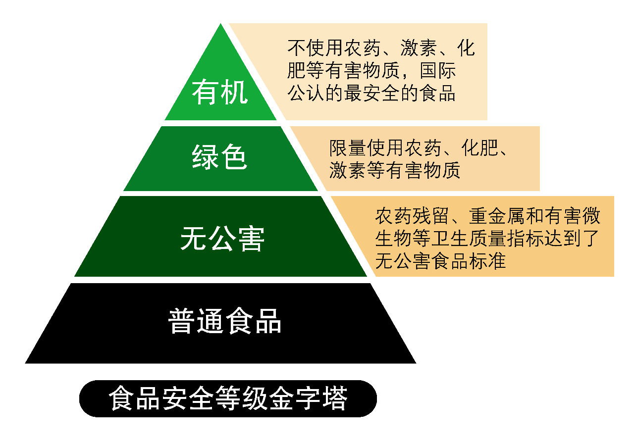 食品安全金字塔