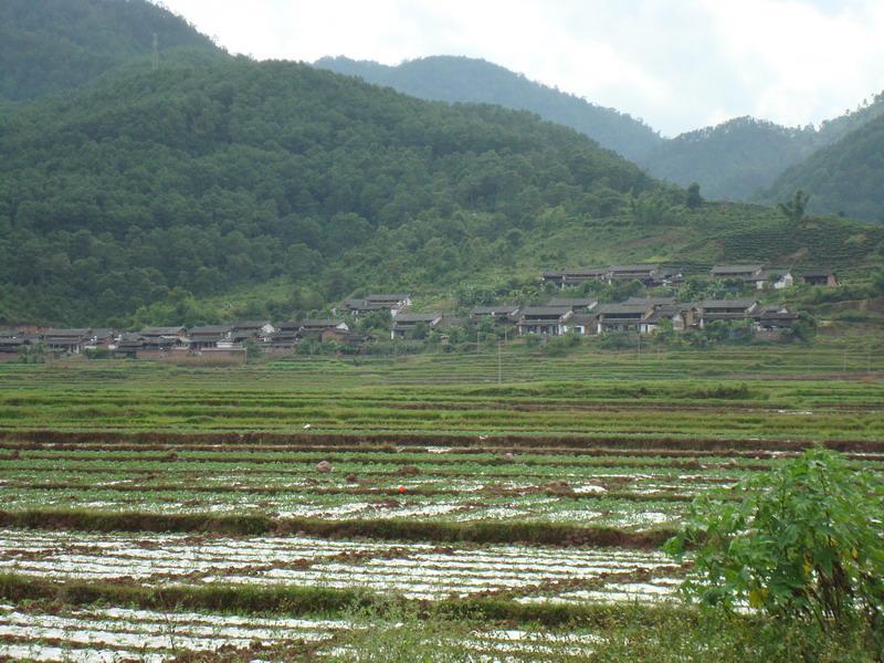 善福村(廣東省肇慶市懷集縣閘崗鎮下轄村)