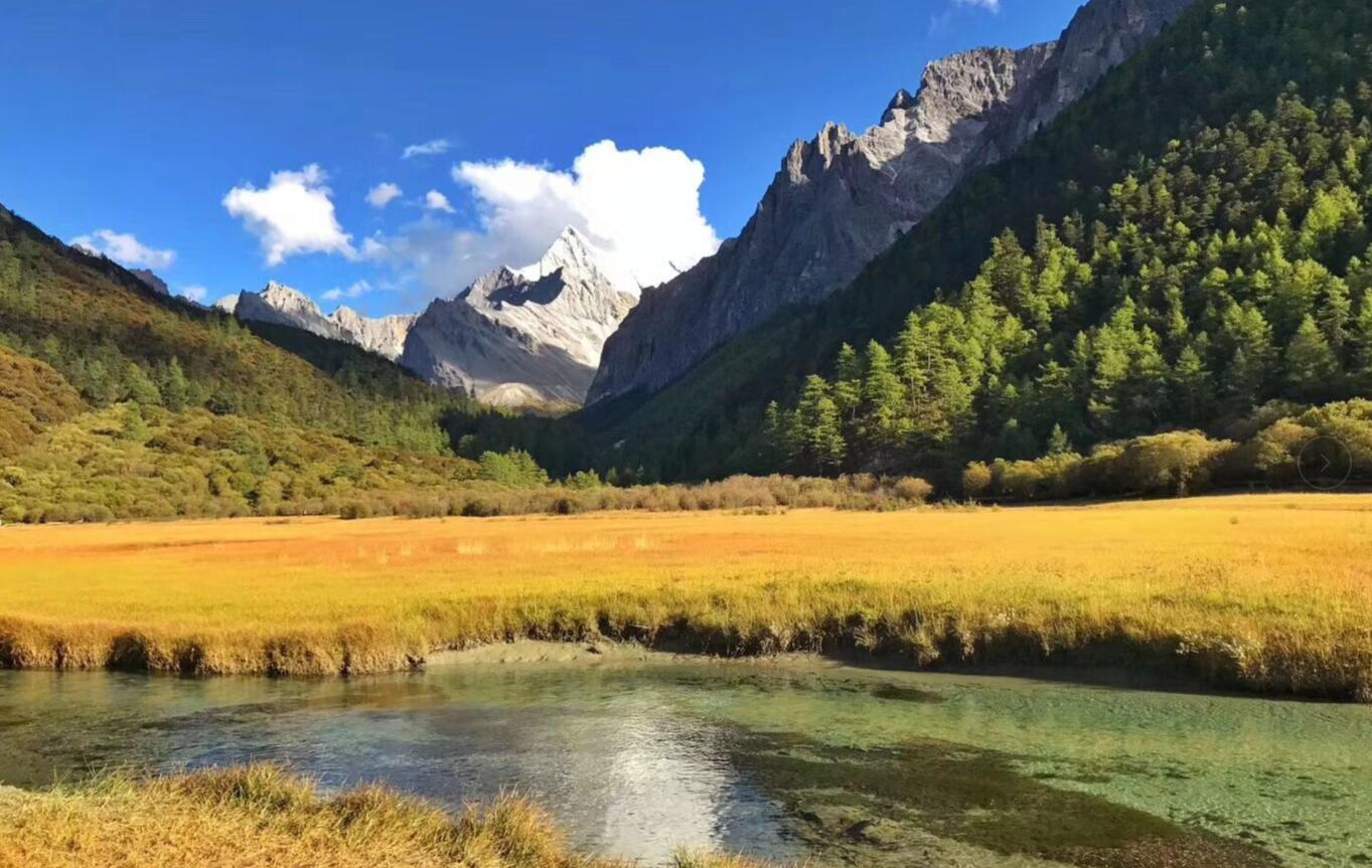 重慶新景線旅行社有限公司