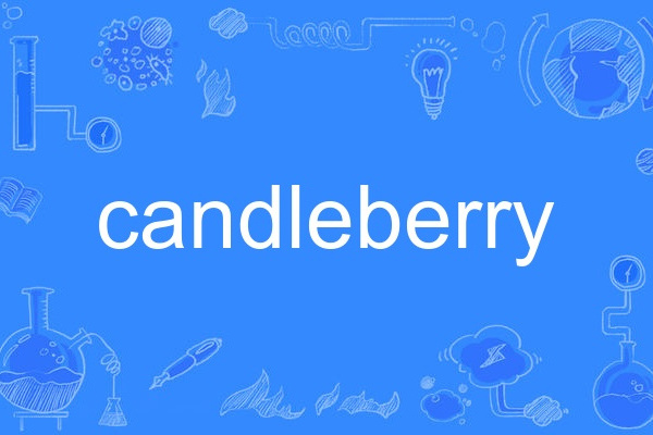 candleberry