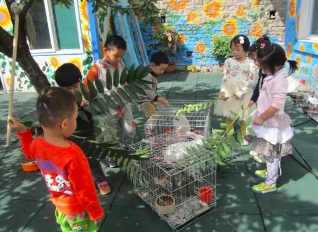 濟南綠野仙蹤生態幼稚園