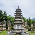 少林寺塔林(塔林（河南登封少林寺塔林）)