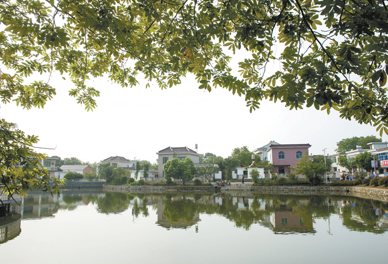 金塔村(安徽銅陵市義安區天門鎮金塔村)