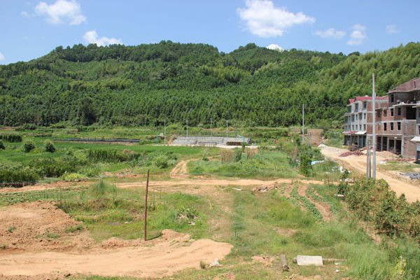 義豐村(湖南省衡陽市衡山縣貫塘鄉義豐村)