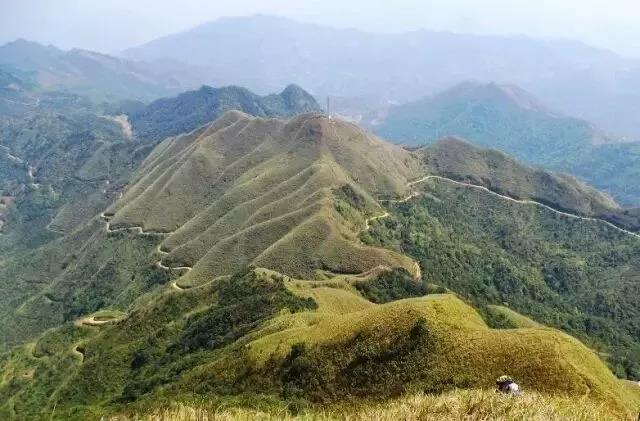 大芒山