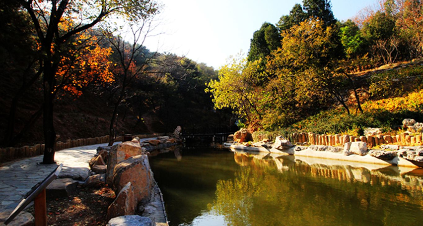 坂頭森林公園