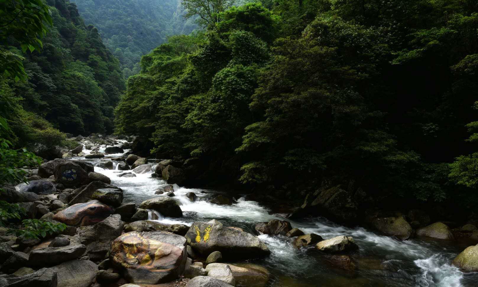 湖南神農谷國家森林公園