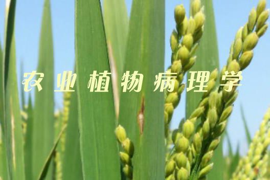 農業植物病理學(南京農業大學建設的慕課)