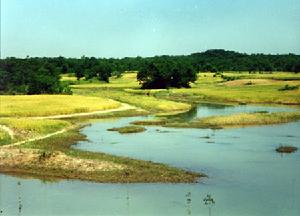 嶂山森林公園