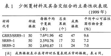 弱分枝西瓜wbl9