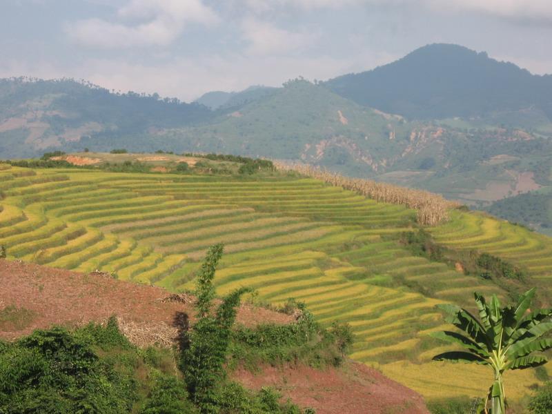 村中田園