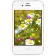 Spring Nature live wallpaper