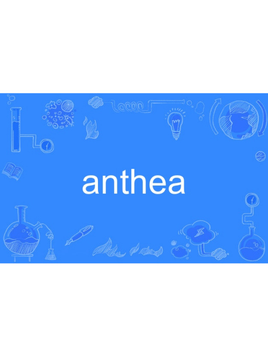 anthea