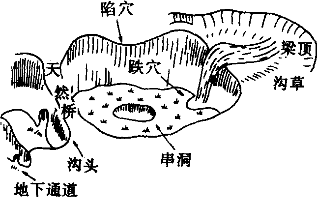 圖1 溝頭洞穴群體發育示意圖(天水)