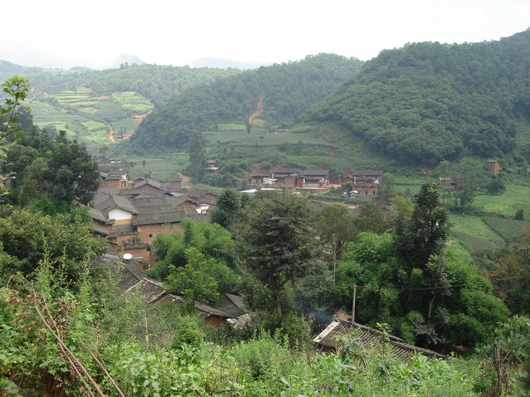 下龍潭村(雲南省楚雄市八角鎮大麥地村委會下龍潭村)