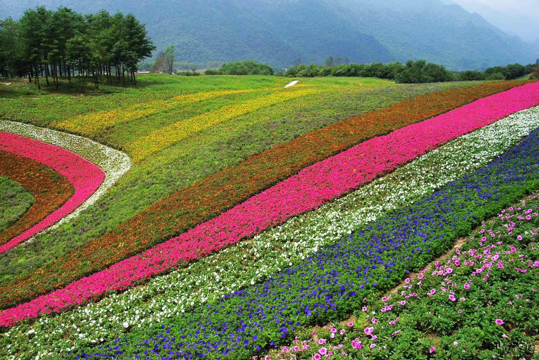 紅池壩國家森林公園