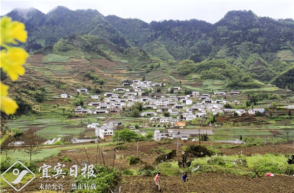 高橋村