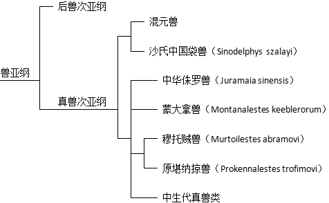 混元獸