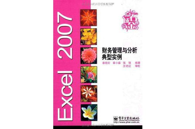 Excel 2007財務管理與分析典型實例