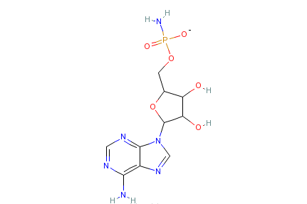 腺苷-5ˊ-氨基磷酸鈉鹽