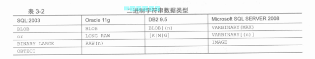 二進制字元串