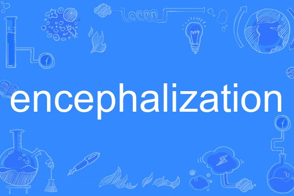 encephalization