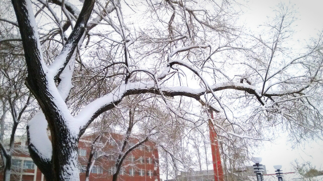 一片雪戎裝