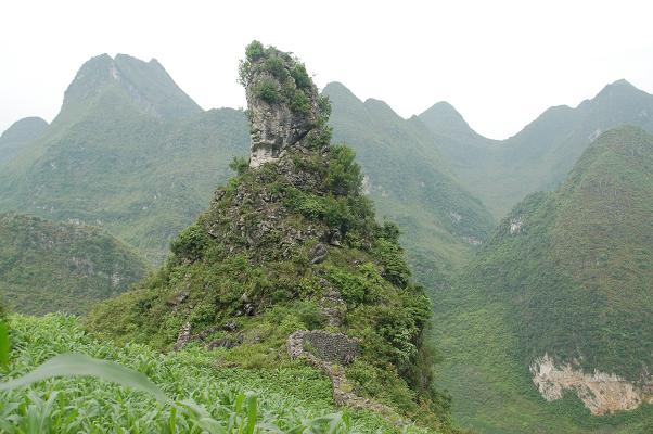 土官府遺址