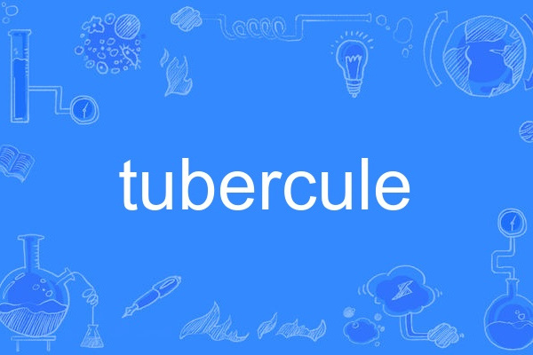 tubercule