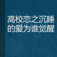 高校戀之沉睡的愛為誰覺醒