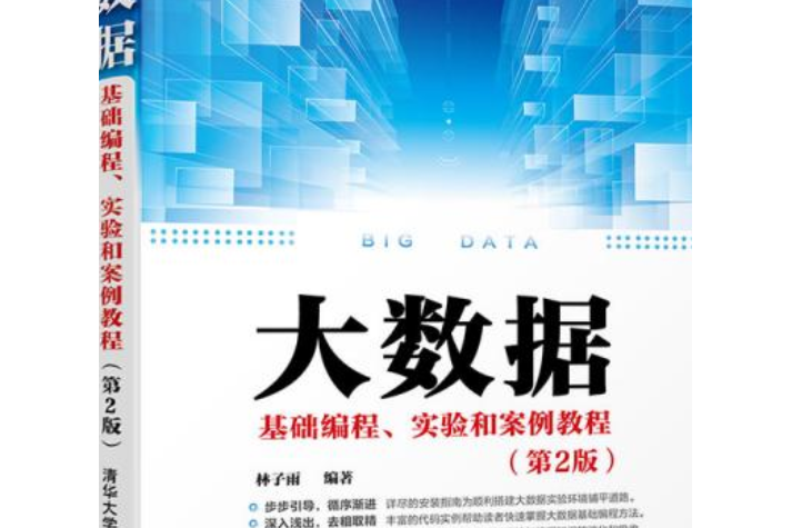 大數據基礎編程、實驗和案例教程（第2版）